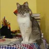 Отзыв от Яна Быкова